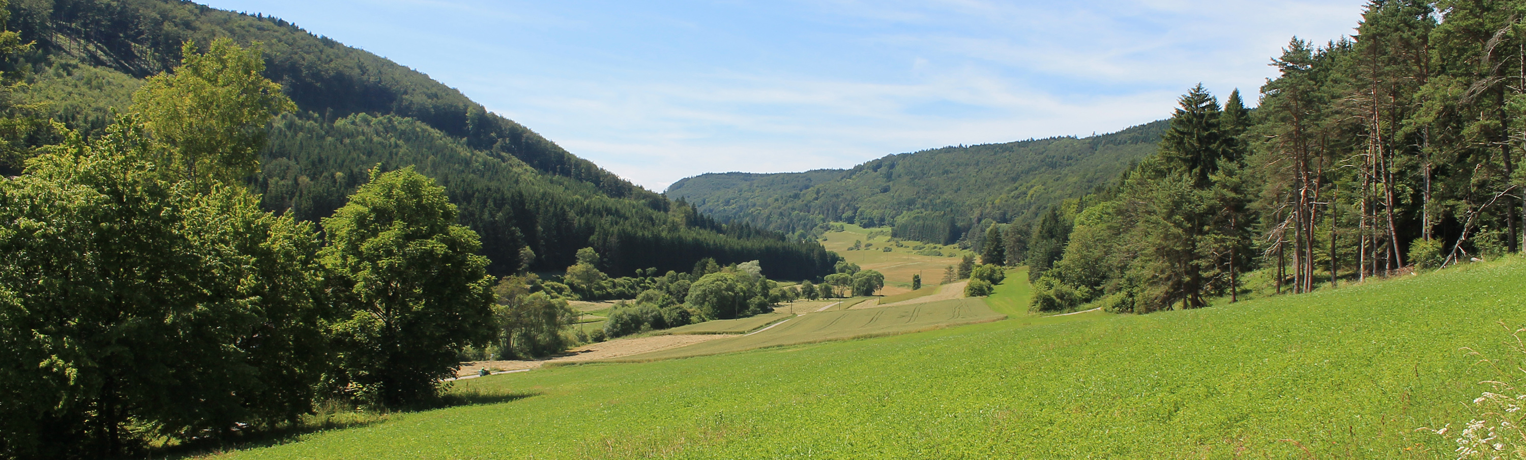 Startseite Immendingen Immendingen